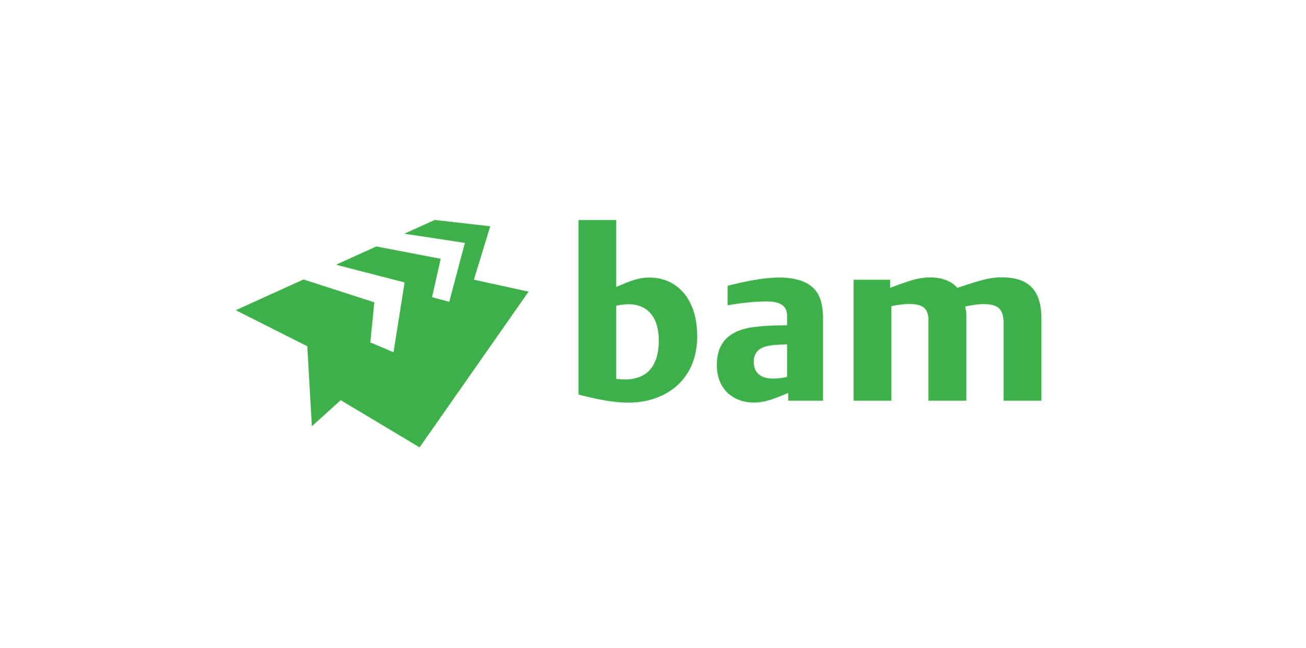 Logo BAM infra Nederland
